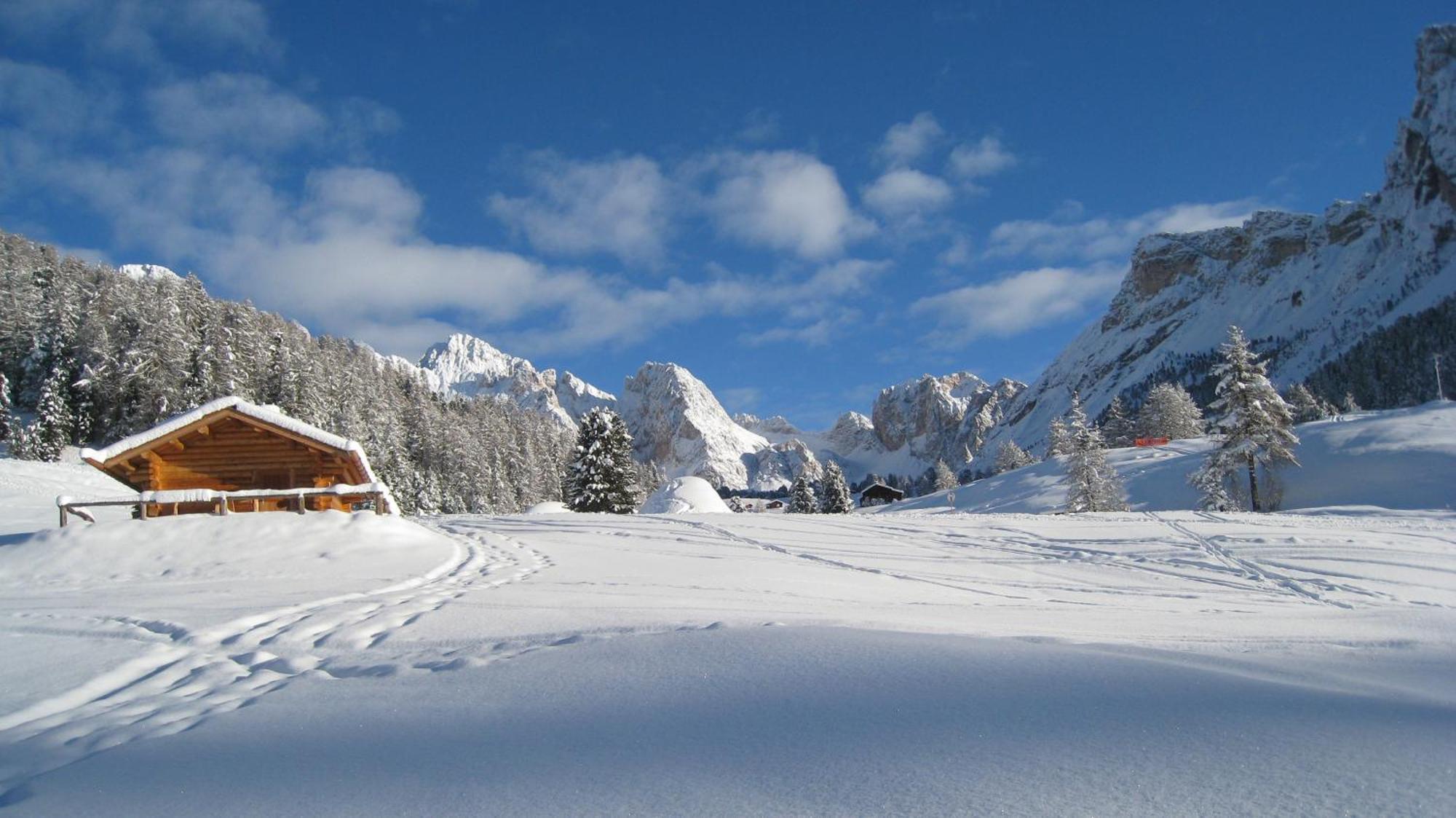 Apartments Dolomie Ортизеи Экстерьер фото